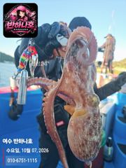 [여수반하나호] 내일 16일 문어 자리여유~!(7만)