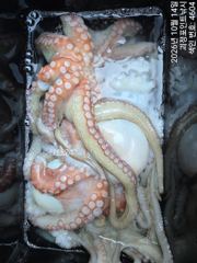 ~~*돌문어 굵직굵직 손맛 굿~~~(예약가능)*~~