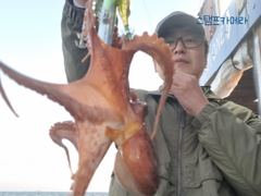 <뉴오리온호> 문어 종일 마무리 조황(15일)-황제낚시 하고 입항했습니다.