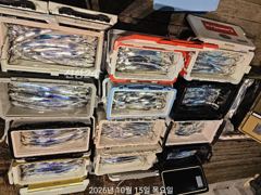 고기는 많고 씨알은 깡패급! 내만갈치 대박
