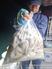 수욜야문 골고루20수오바~~