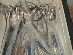 [진해] 내만갈치 씨알짱 마릿수 짱 손맛짱 입니다~~~예약가능