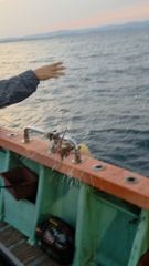 [포항] 돌문어 폭팔! 쿵쾅쾅 금토일모집중