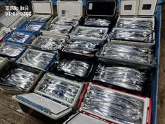 [진해] [내만갈치]씨알마릿수좋습니다~!! 내일 토요일 예약가능!! [주…