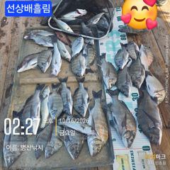 [고성] 병산 감성돔4짜외 준수한씨알 마리수&감성돔5짜외마리수선외기흘림ㅈ…