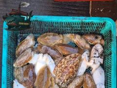 ◆◆16일.군산샤크호◆◆갑오징어조황◆◆다음주자리여유