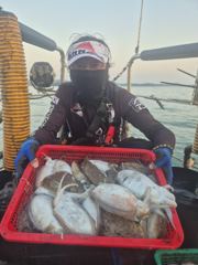 [먹물조황] [대천항청춘호] 10월 16일 갑오징어 조황보고
