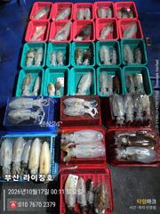 10월16일