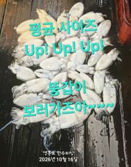 10월 16일 갑이 조황