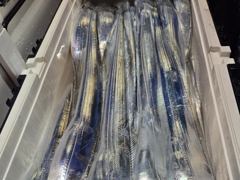[통영] 통영영운호14석) 먼바다 대갈치 올들어 최고의 조황 씨알 마릿수…
