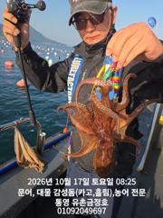 [통영] 통영 금정호 오전문어 시작이 좋습니다! 오후타임 자리여유있어요
