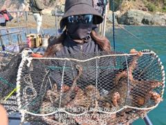 (실시간)문어 느나느나 K전후 포함 타작 中 홍부장피싱(18일 …