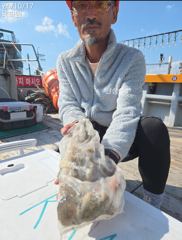주꾸미 짬낚에 이만큼 내일 예약가능