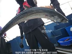 17/토, 오전 조황ㅡ어군 그림속 대삼치들과 무수한 고시삼치들,…