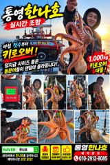 통영한나호 어장낚시 돌문어 10월17일 실시간입니다