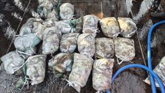 [먹물조황] 10/17 블루오션1호 쭈&갑 조황 (아침 떡만두국, 점심 도시락제공, . 선비 종일9만원!!)