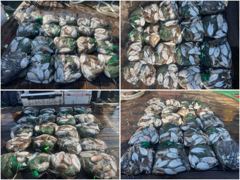 [ 제우스호 ] 10월 17일 [ 망태기조황 !!! 인천 갑오징어 !!! ] [ 인천배낚시 청마피싱 / 인천선상낚시 / 인천낚시배 ]