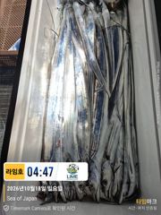 궂은날씨 홍도권 나들이~! ㅜ.ㅜ , 날씨 좋은날 다시 보자잉~~!