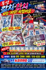 월요일 화요일 출항합니다 소수인원이라도 달립니다!!!
