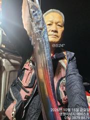 은빛 대 갈치 3지 4지 5지까지 월요일 부터 자리 있어요