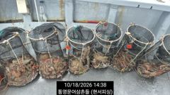 (문어)뜰채 사이즈 속출 두 자릿수는 기본~현서피싱(19일예약)