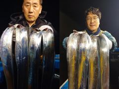 [통영] (통영명륜호7호)은빛갈치 큰놈 작은놈^다 잡았습니다 쿨러조황 …
