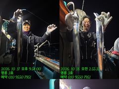 [통영] (14석통영명륜3호)우와~왕갈치 3지이상 쿨러만땅 밤새도록 입질…