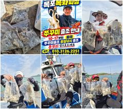 [목포] 목화피싱 10/17일 쭈꾸미 장원 80~100수 굵은 쭈꾸미 조…