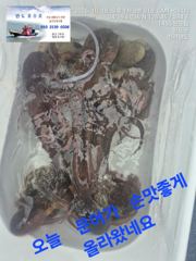 문어잡기....