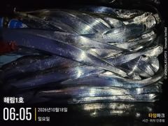 ((해림1호))내만권 갈치 마릿수 조항~