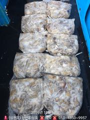 [사천] 왕 쭈꾸미 장원 170수 화.수.목 자리여유