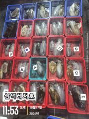 [통영] [팁런] 똥바람통,무시급,무늬들(수요일부터,출항)