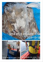 [사천] 왕쭈 장원190수 {선비,할인} 20,21,22,23,쭉~자리여…