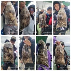 [사천] 쭈꾸미 황금 물때!장원 171수외 전원 마릿수!