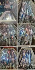 먼바다 왕갈치 10월18일 일요일 조황
