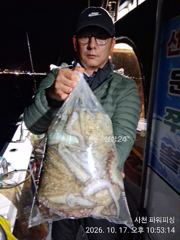 주꾸미 & 야간 돌문어(황금 물때)17일~굿조황 ~내일9자리여유