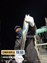 [갈치/텐빈]터졌다~올시즌최고조황&싸이즈까지[화요일부터]예약가능
