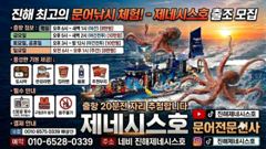 [진해] 문어] 오늘 야간출항확정 예약가능~ 1.81k 1.66k 2.3…