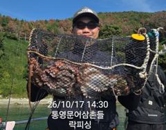 [통영] 국치마을(문어) 일타일피~담구면 덤빕니다 대박~락피싱(20일 예…