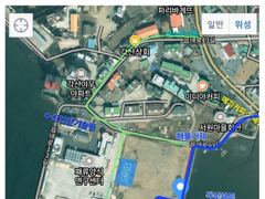 [거제] ( 거제하나호 )무늬오징어 멘탈게임.