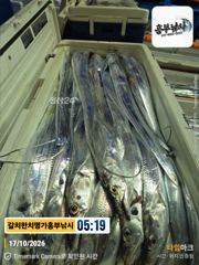 17일 입항 퍼담고 연일대박조황 김선장2호