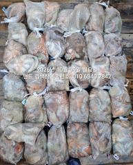 10월19일 대박 조황.... 군산 홈런호 주간 문어 마무리 조…