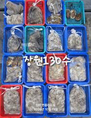 <주간쭈꾸미>쭈꾸미탑승!!화,수~&<야간갑오징어>금,토 예약가능