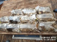 삼천포 똘이장군 똘이호// 왕쭈들 좋습니다