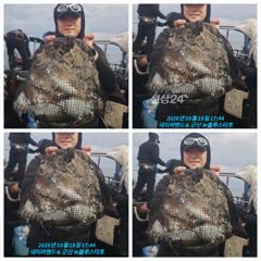 26시즌 10월 19일 군산 앞 바다 40일차 찰 갑오징어 마릿수 초대박 조황.