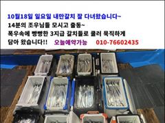2시간전 [여수,광양] 글로리호 내만갈치 10.19일 조황입니다