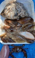 10/17해성호