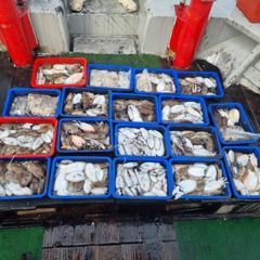 [먹물] ♡갑.쭈♡ 10월 19일 굿~! 조황~!^^