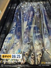 20 일 입항박선장 만쿨부터 3지4지급 낼 여유