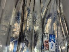 [진해] 20일,내만갈치 담배갑,폭우에 조기철수에도 많이 잡고,오늘출항(…